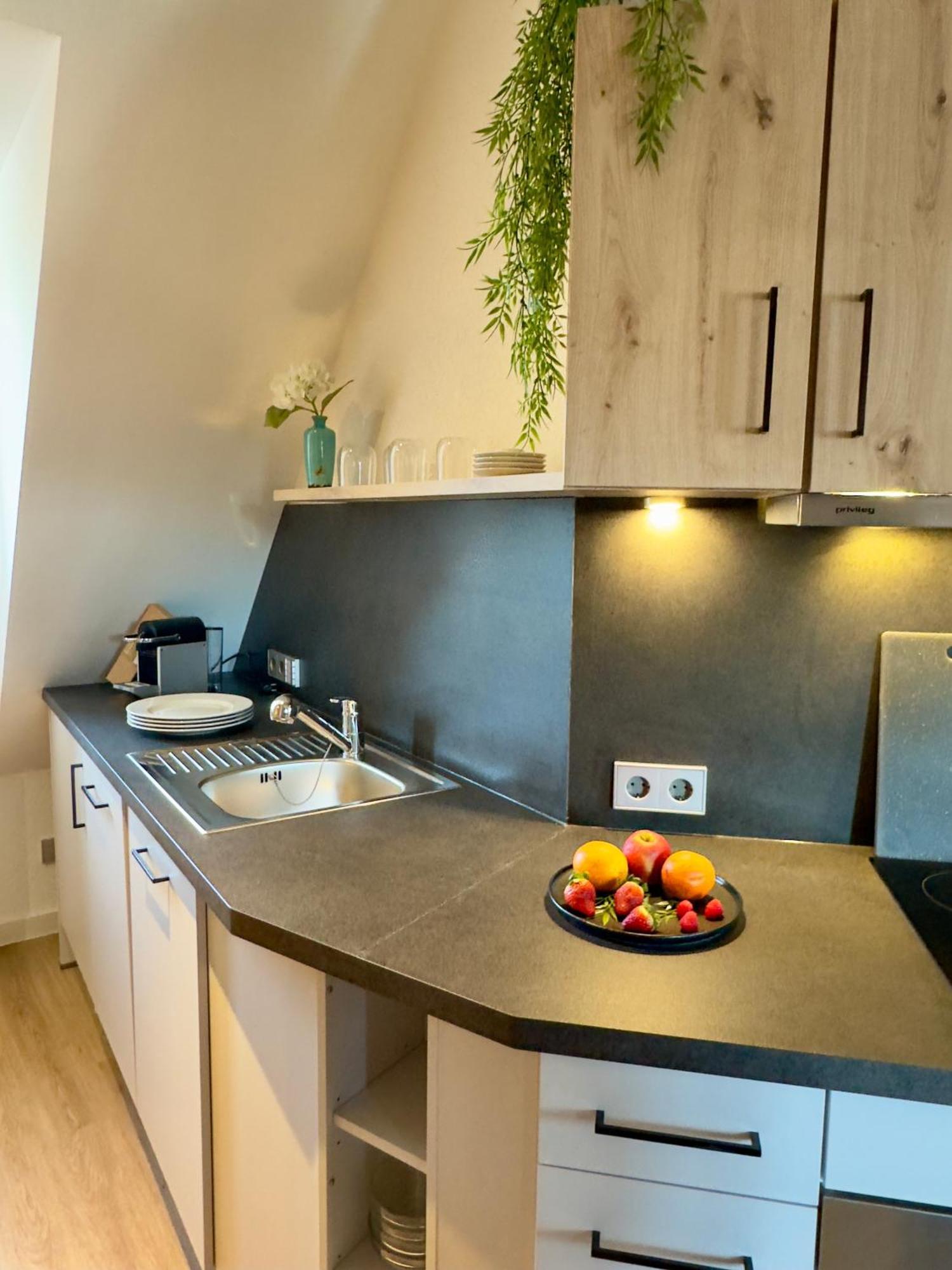 Living & Serviced Apartments By Blauer Wolf Gunzenhausen Exterior photo